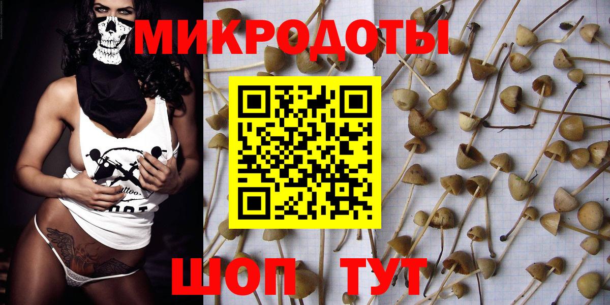 Галлюциногенные грибы Psilocybe  Вход с VPN  Конаково 