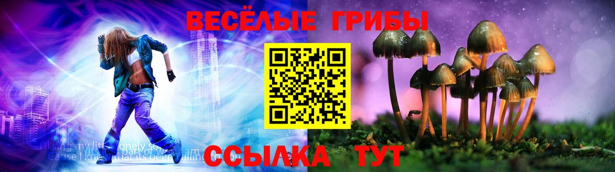 Галлюциногенные грибы прущие грибы Конаково